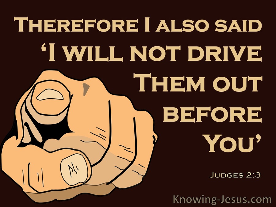 Judges 2:3 God Will Not Drive Them Out Before Them (brown)